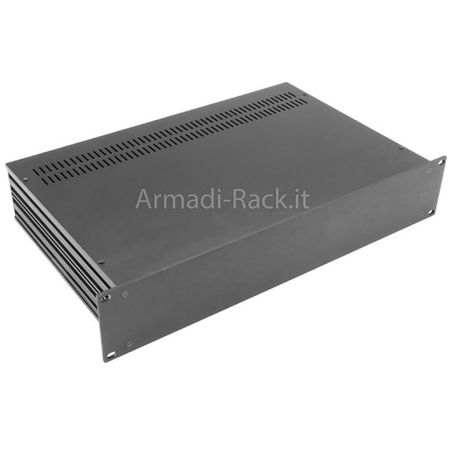 19 inch rack case height 2 units with black aluminum front 280 mm deep